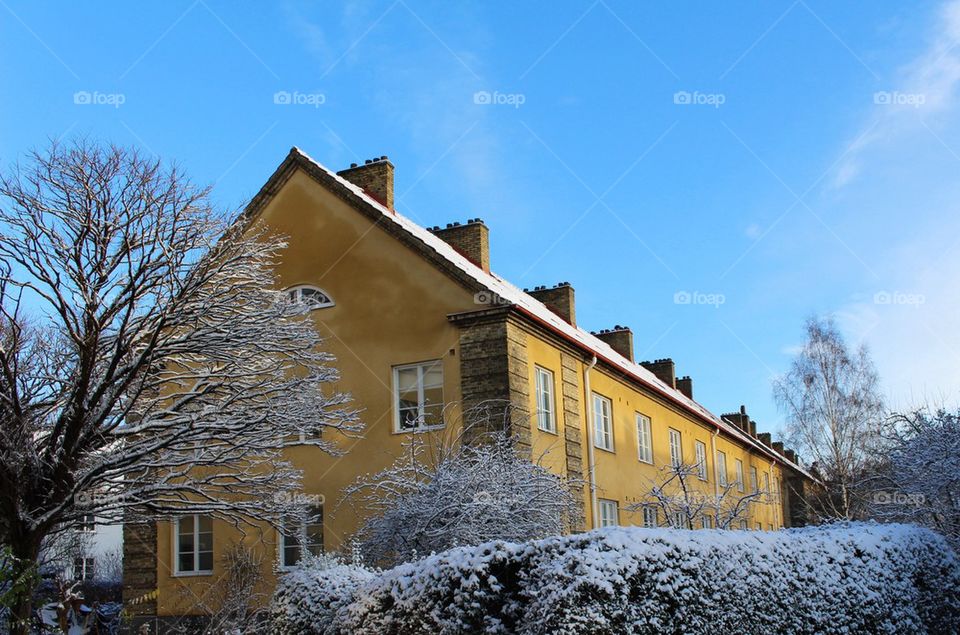 Yellow house in December.