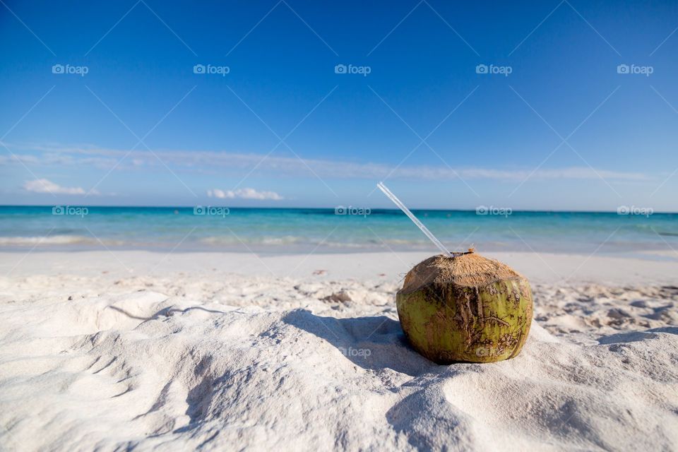 coconut on beach