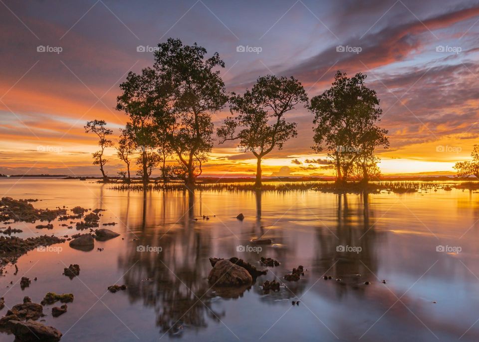 Beautiful Sunset And Reflection Tree