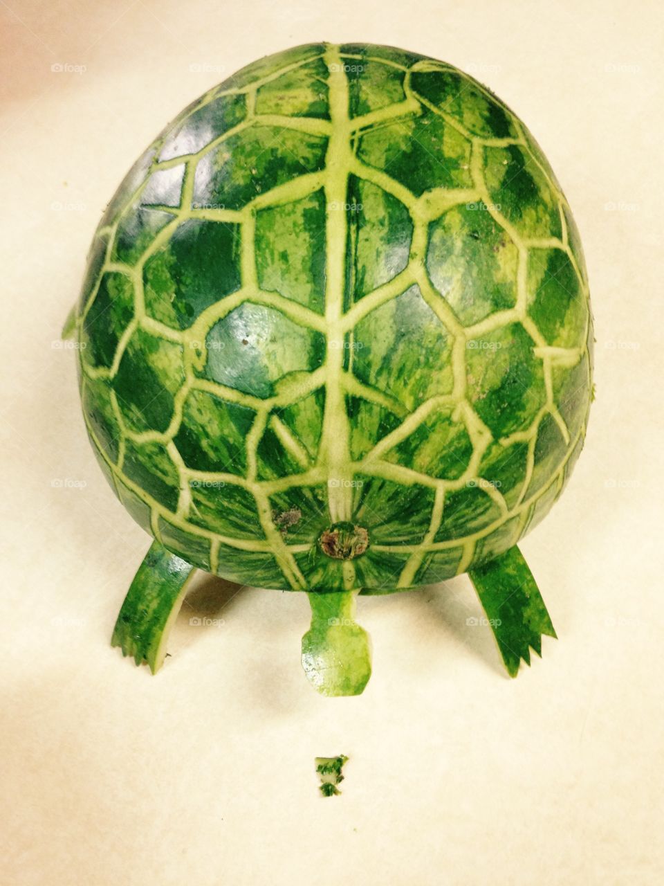 Watermelon turtle