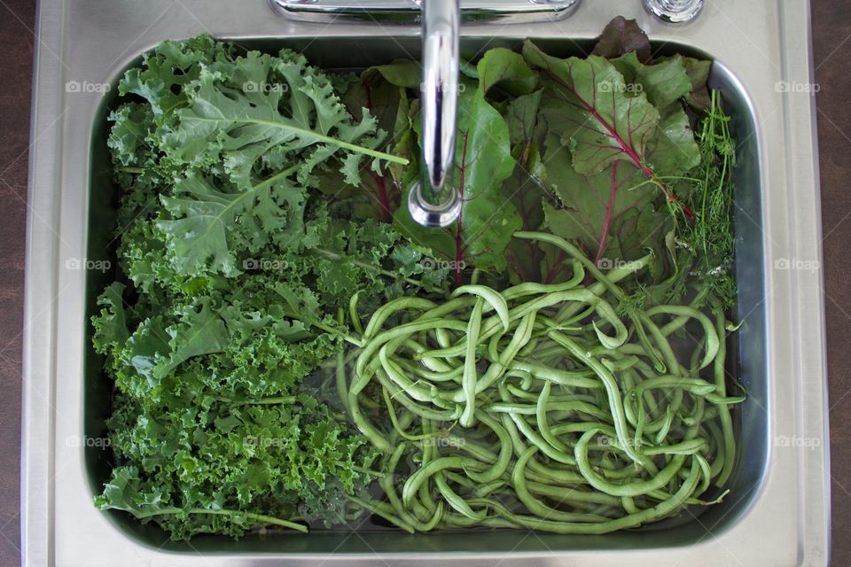 Fresh garden vegetables - beet greens, cilantro, green beans and curly kale - in a brushed stainless steel utility sink