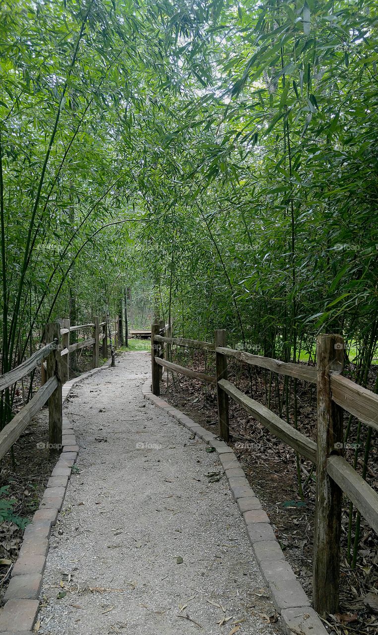bamboo entrance