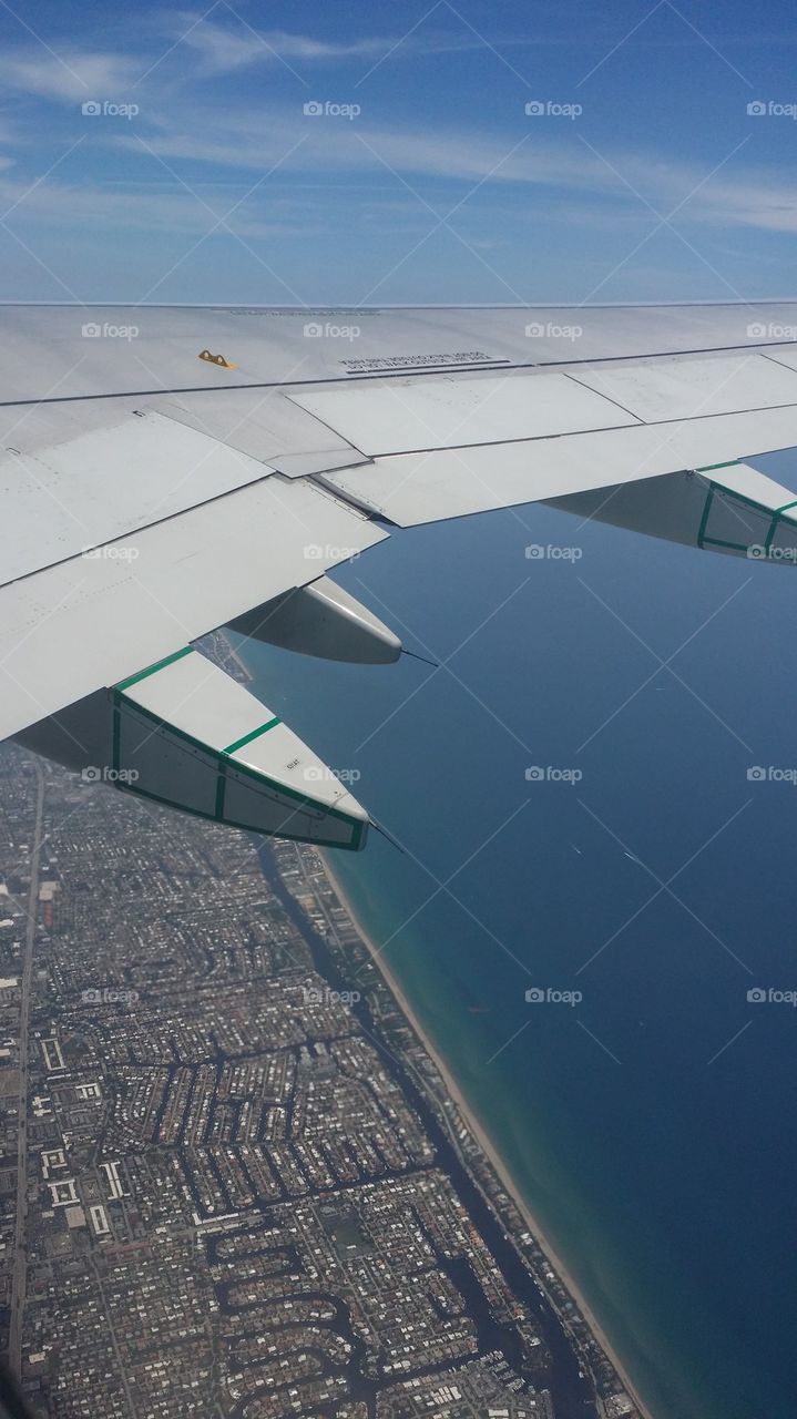 Wing over Miami