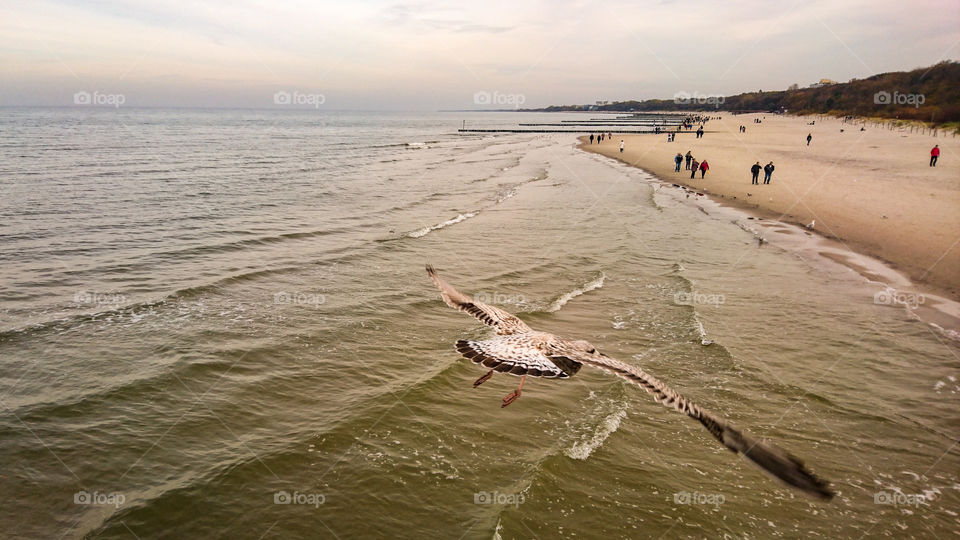 kołobrzeska wolność