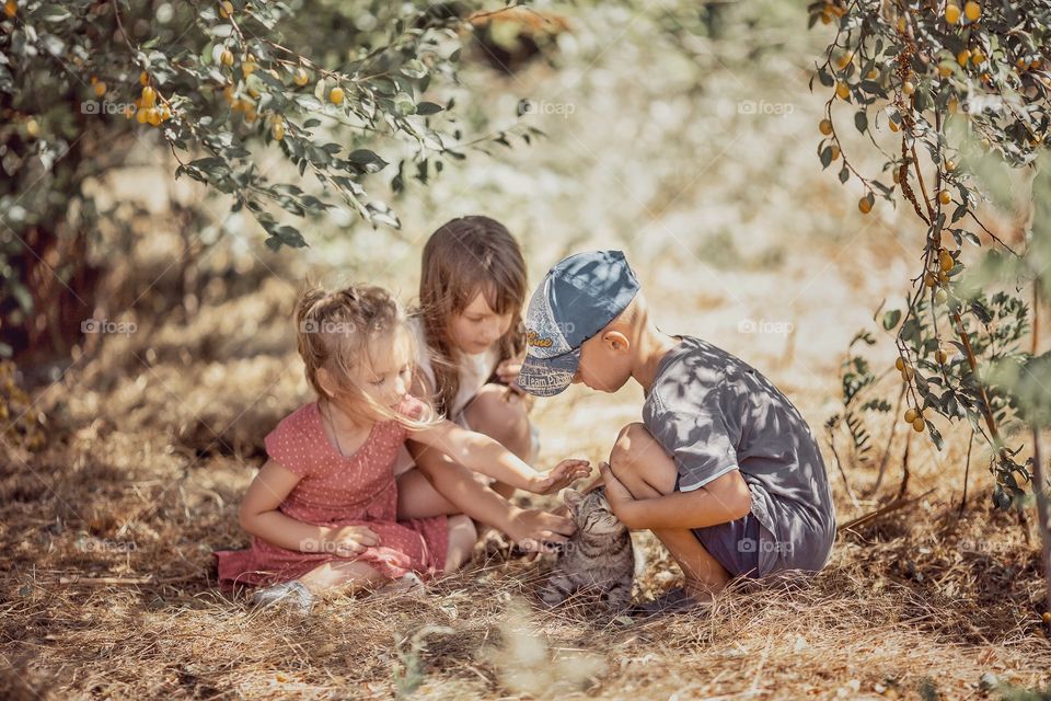 Children playing with kitten in a garden