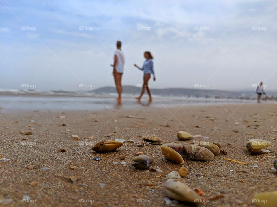 sea shells and love