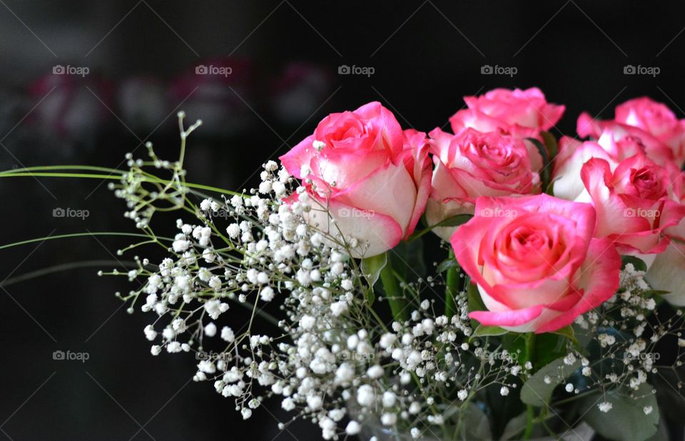 Flower, Bouquet, Nature, Rose, Flora