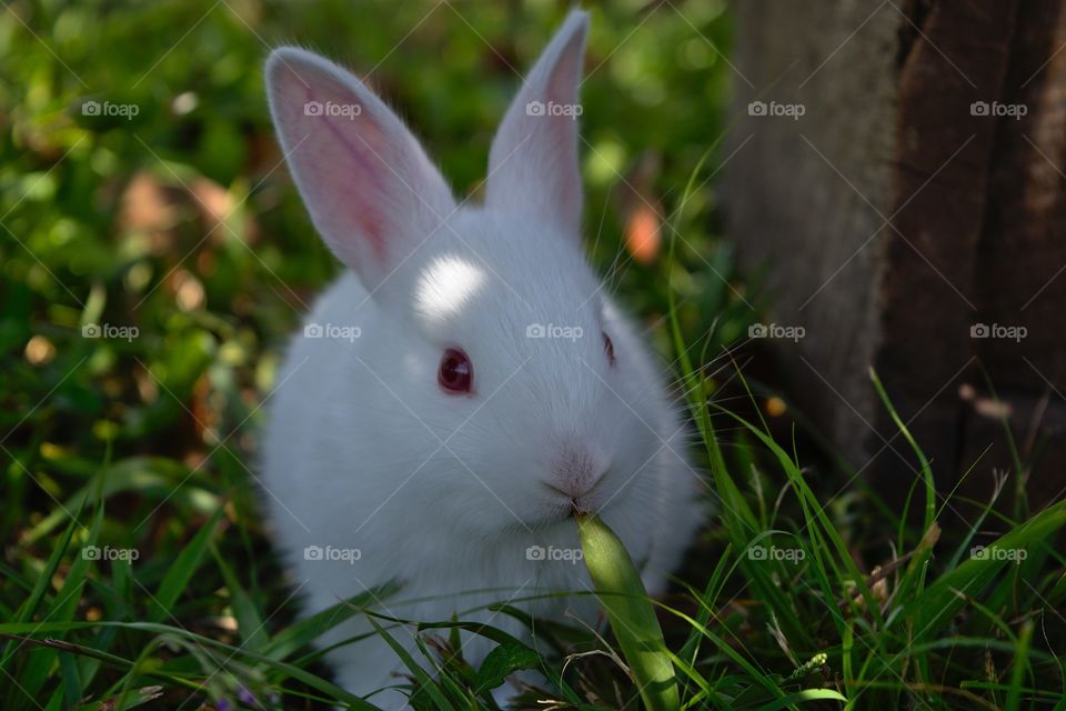 Cutie....🐰😁💖