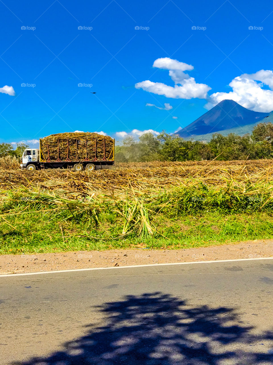 El Salvador