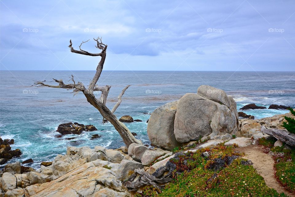 View of rock formation in sea on beach