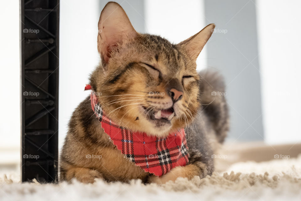 Cute smiling of my kid