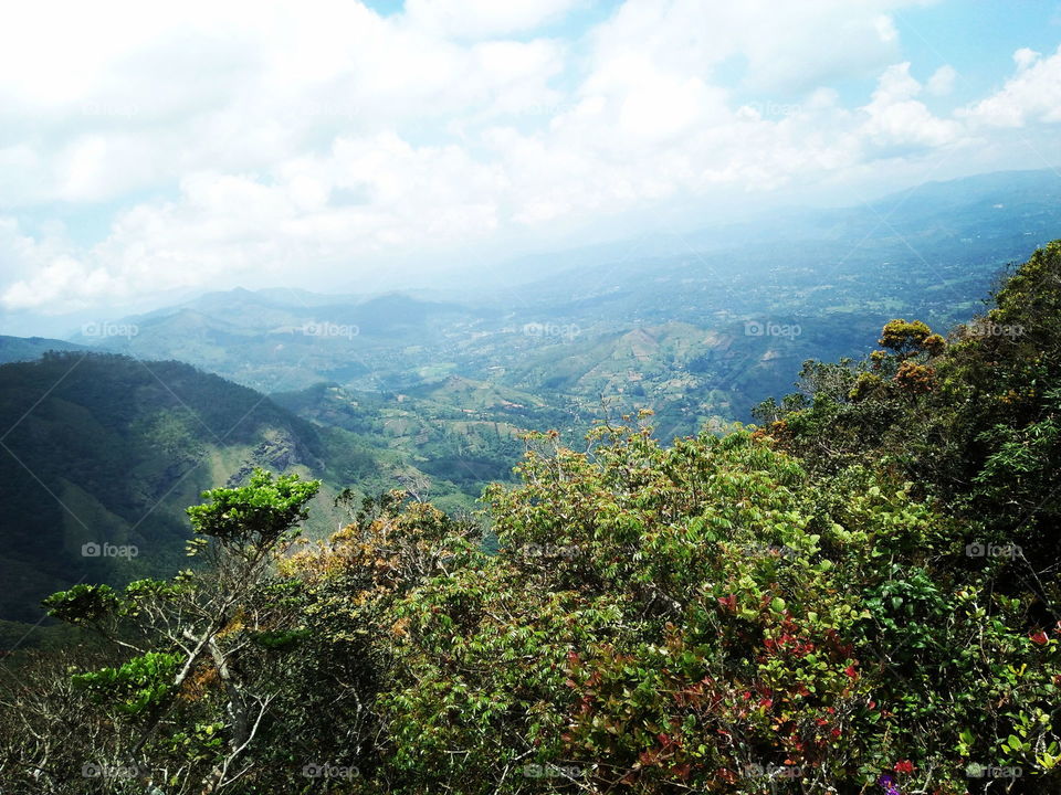 beauti of the nature...