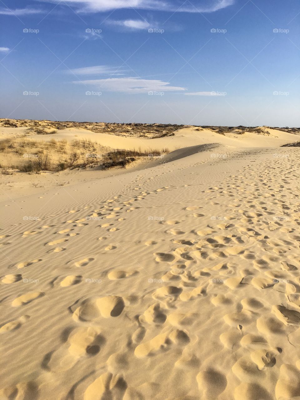 Sand dunes 