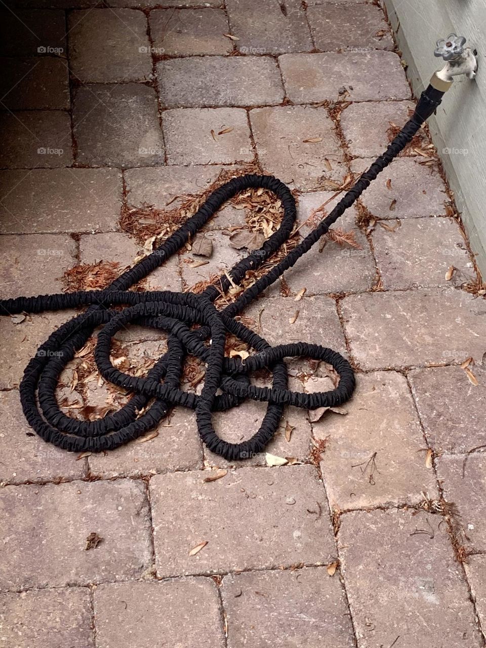 Garden hose