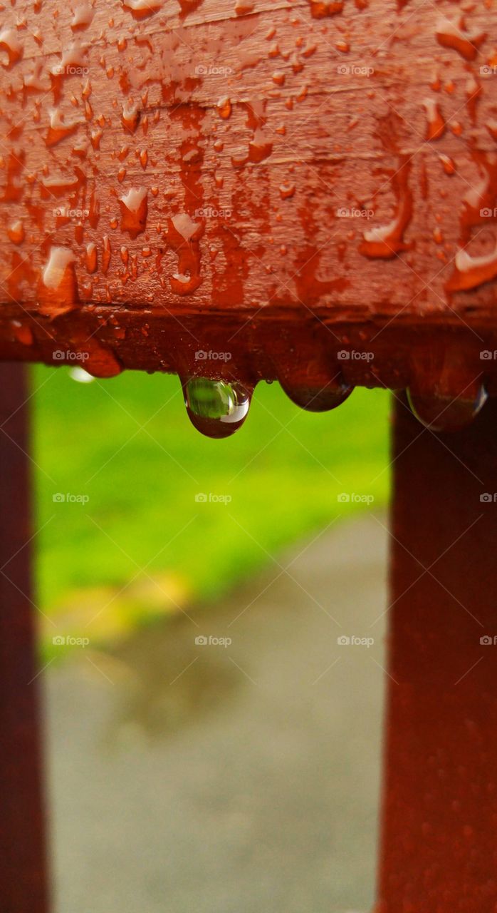 Spring rain drops
