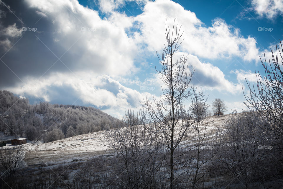 polish winterscape