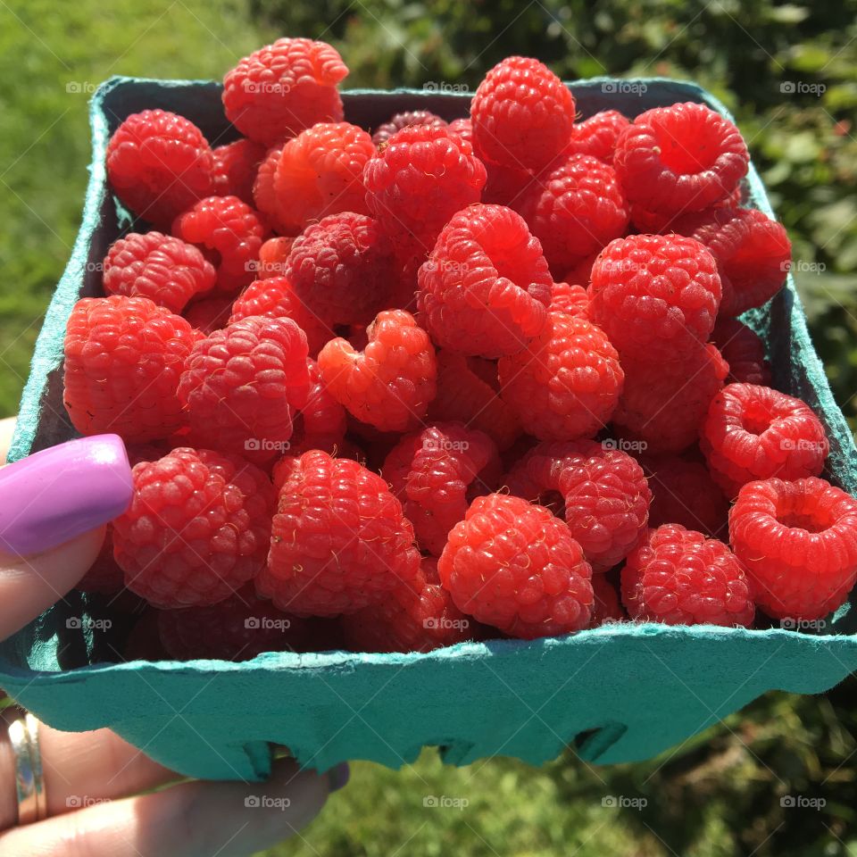 Raspberry Picking