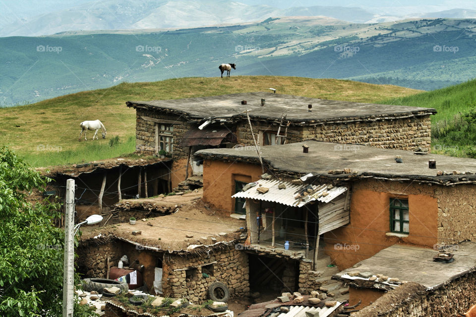 grass village horse border by nader_esk