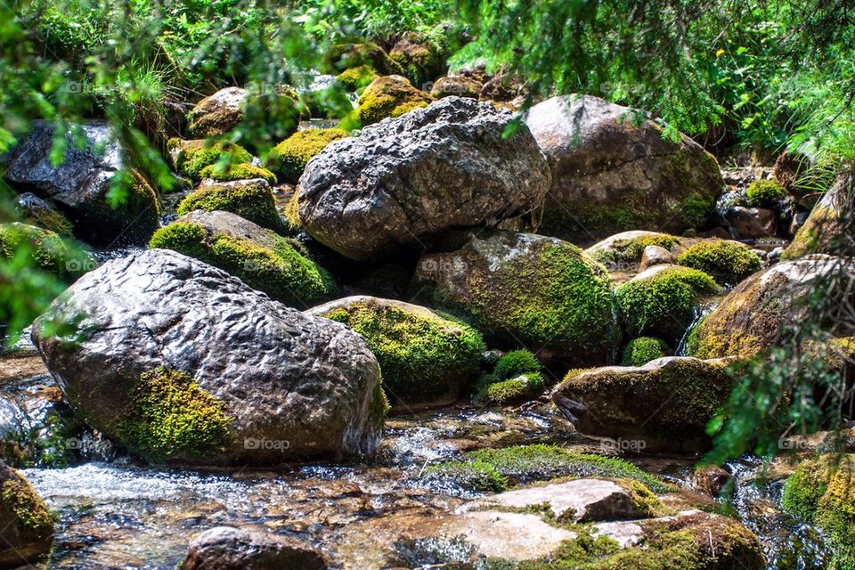 Mountain stream