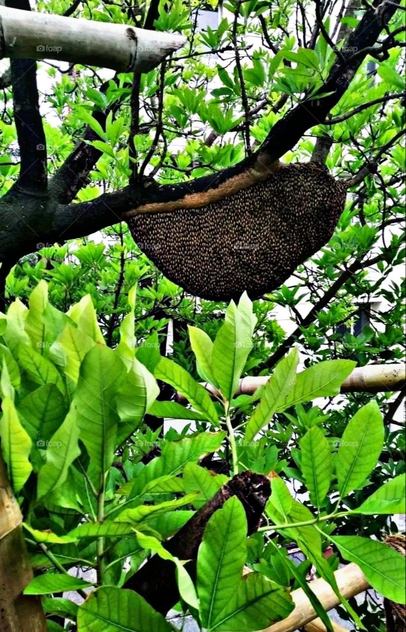 A most beautiful and attractive view in the garden.