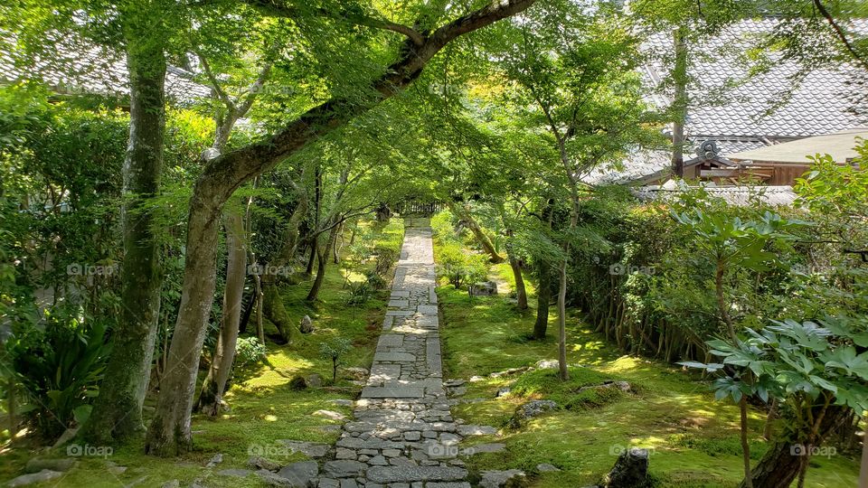 Stone Path Through the Zen Garden - Kyoto Japan