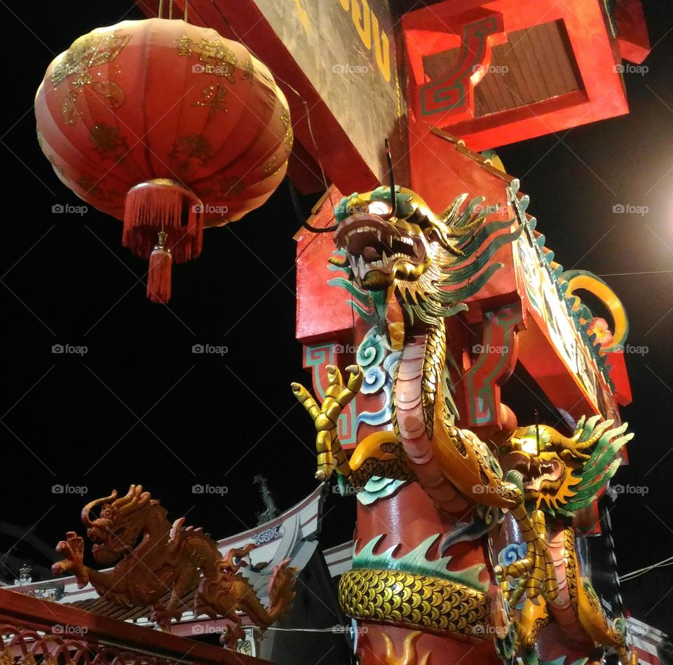 dragon of shrine