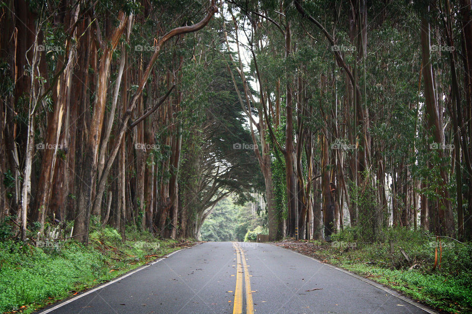 Highway 1 on the Pacific Coast