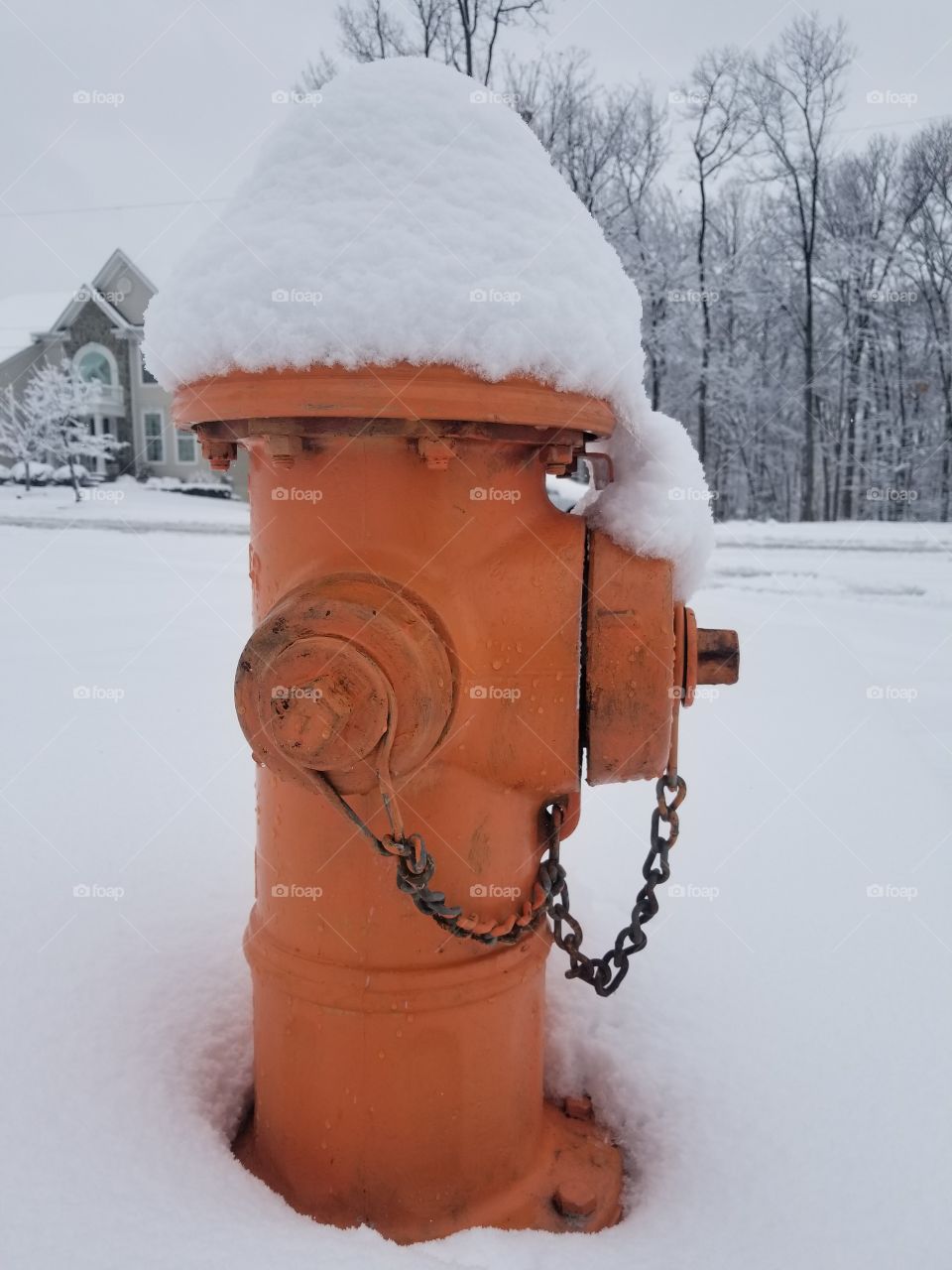 Frozen Fire Hydrant