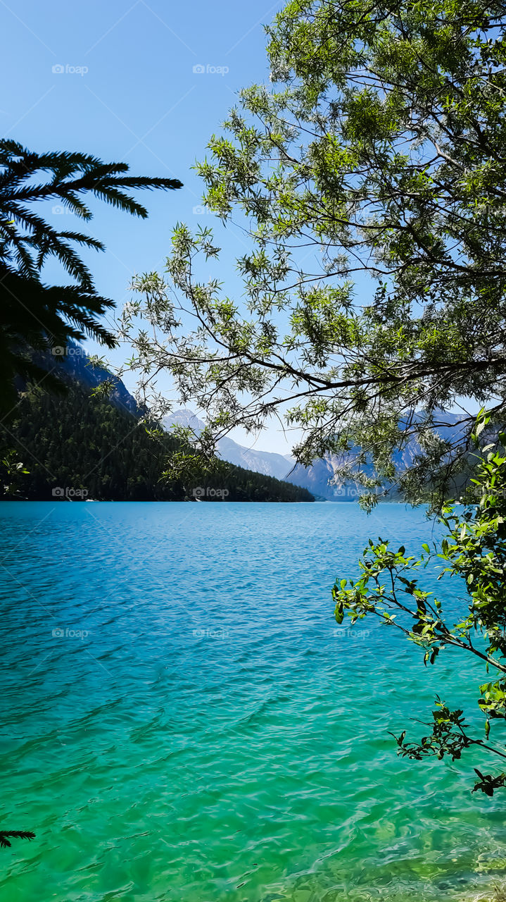 plansee tirol Austria