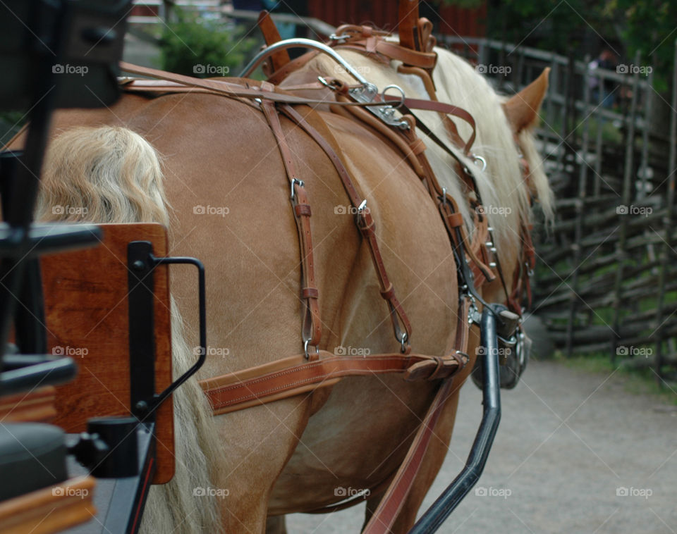 horse wagon leather