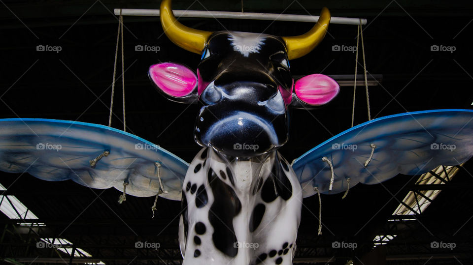 Flying color cow at cow parade 