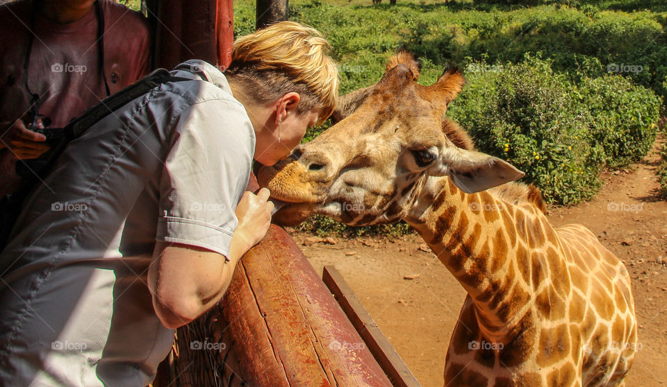 That time I kissed a giraffe 