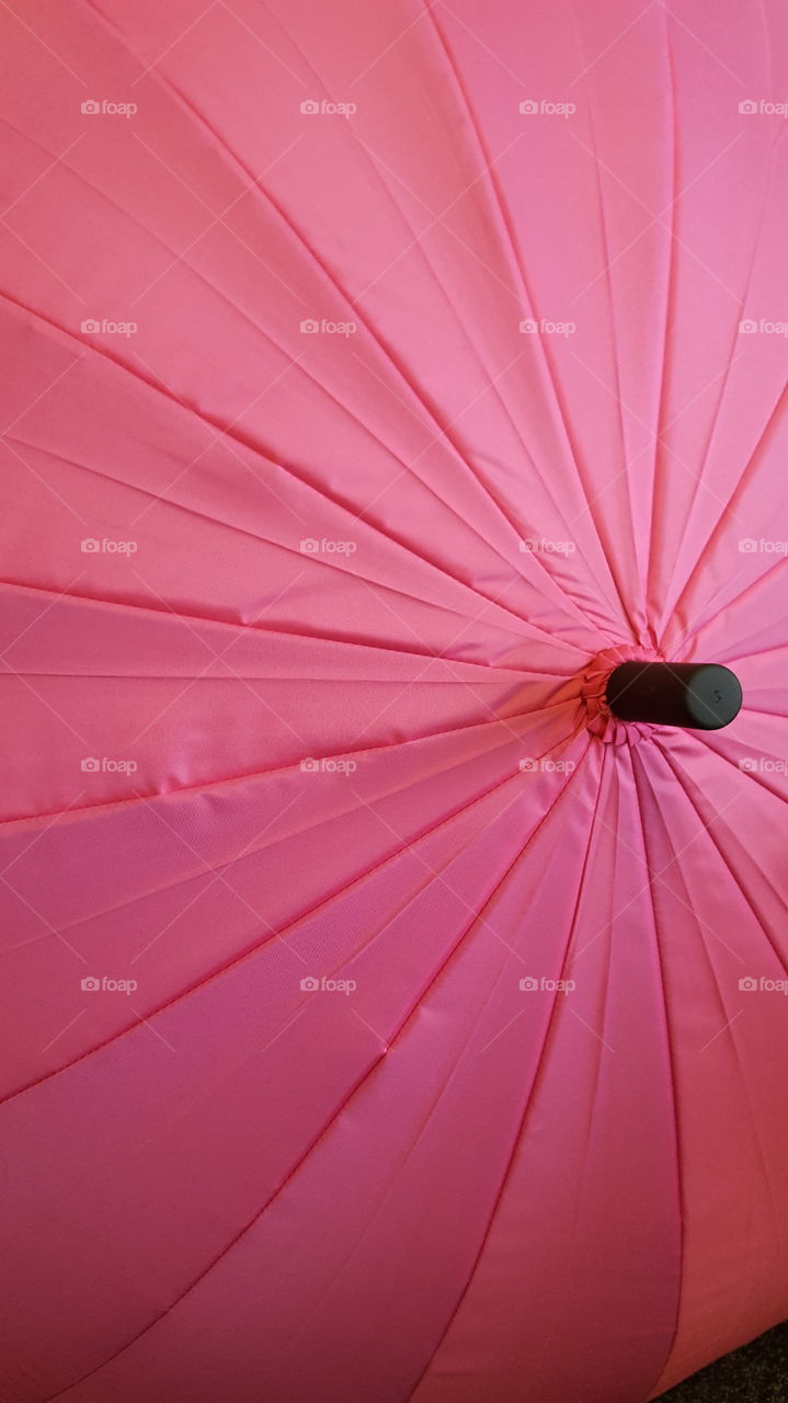 Pink umbrella