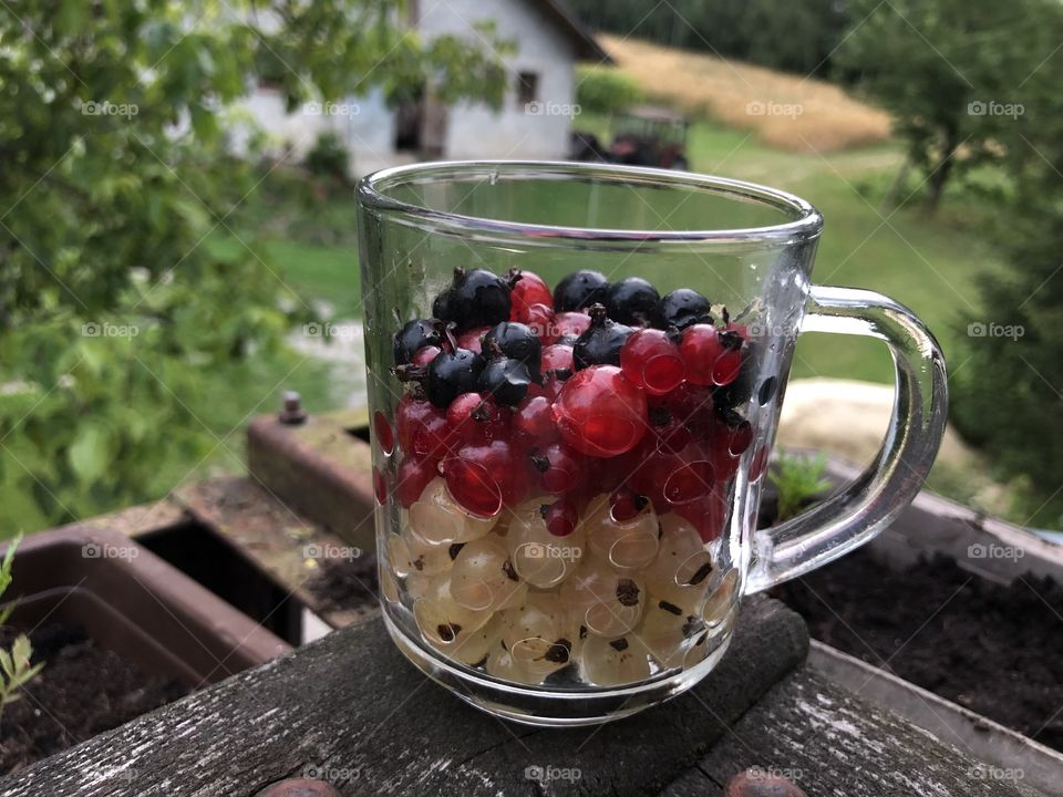 Fruits in the glass.