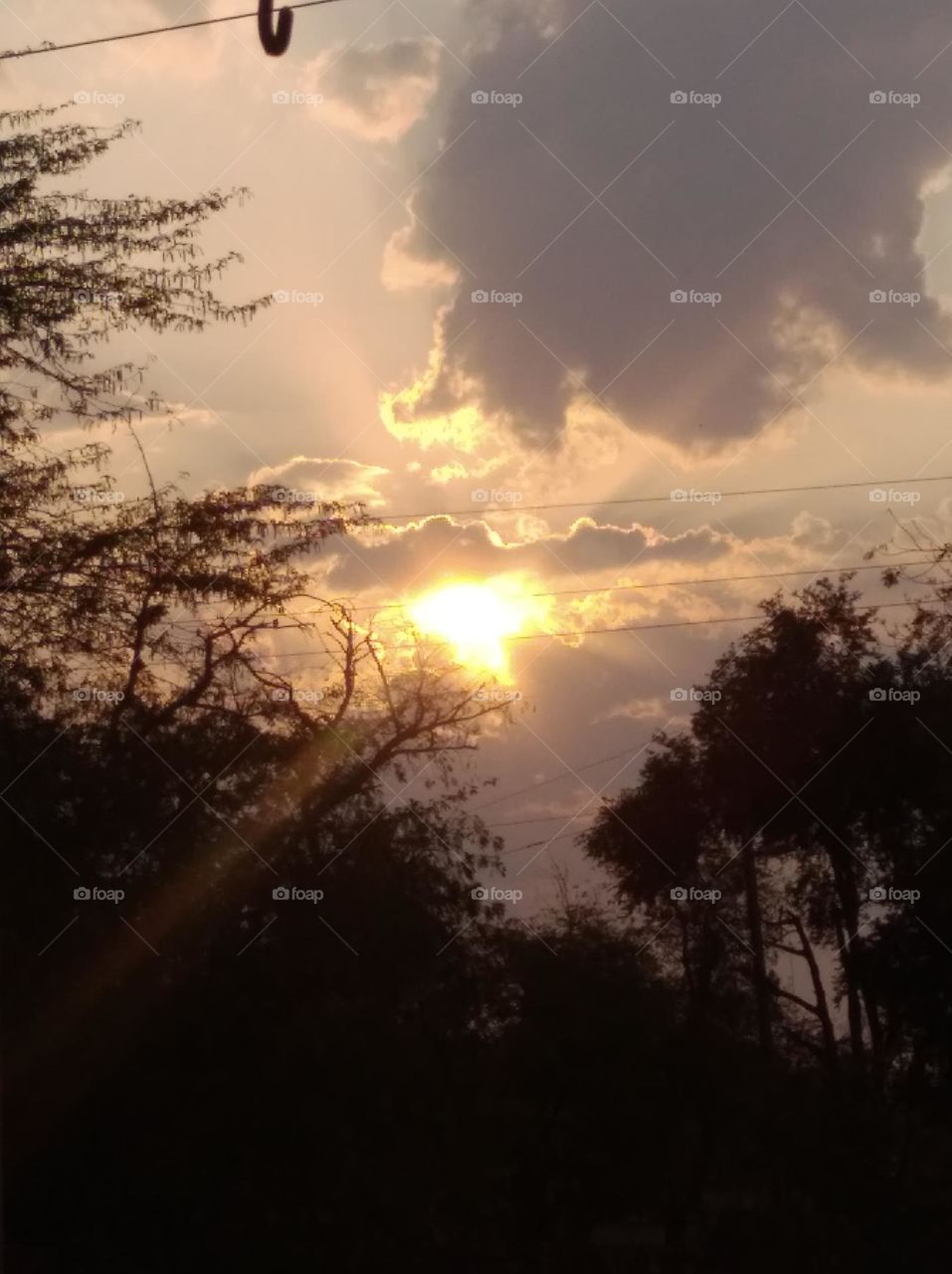 Sun set scene whites cloud scattered dark tree looks very beautiful,sun looks Just behind the clouds, very nice secene