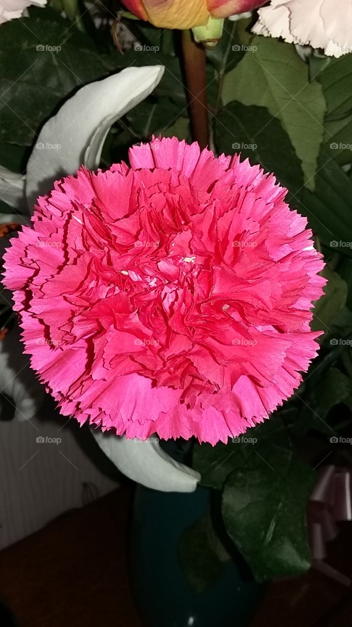 Pink Flower