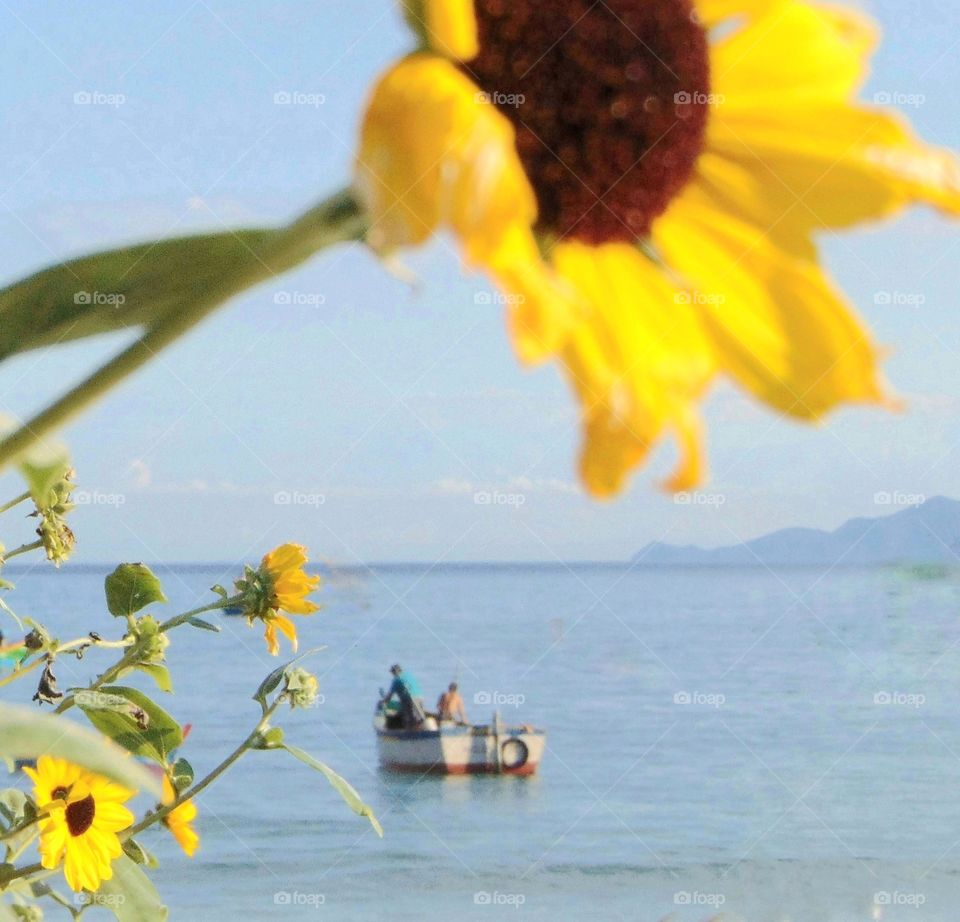 Ingleses, Florianopolis, SC, Brazil