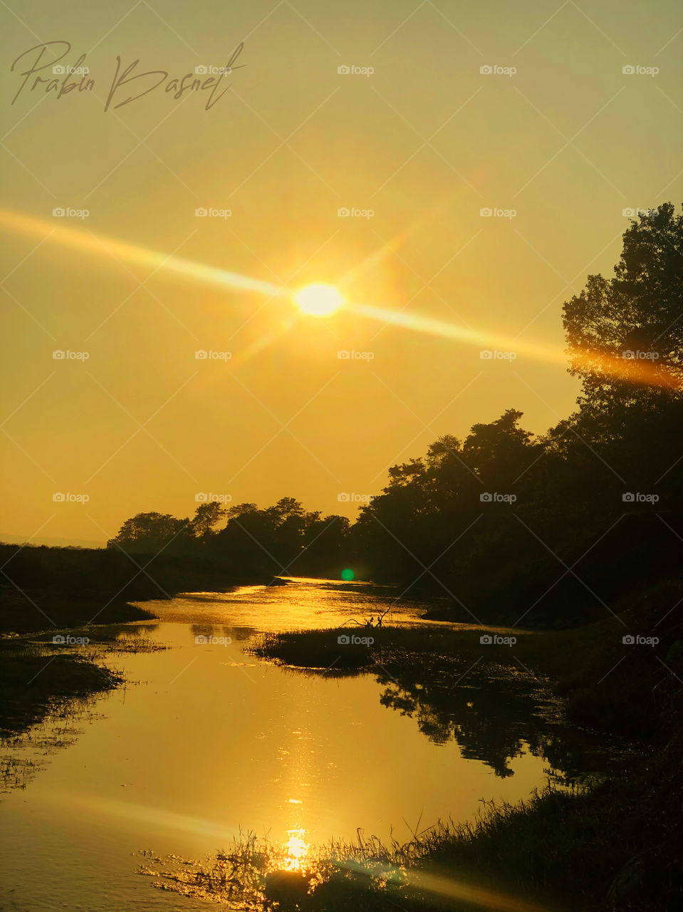 Chitwan national park