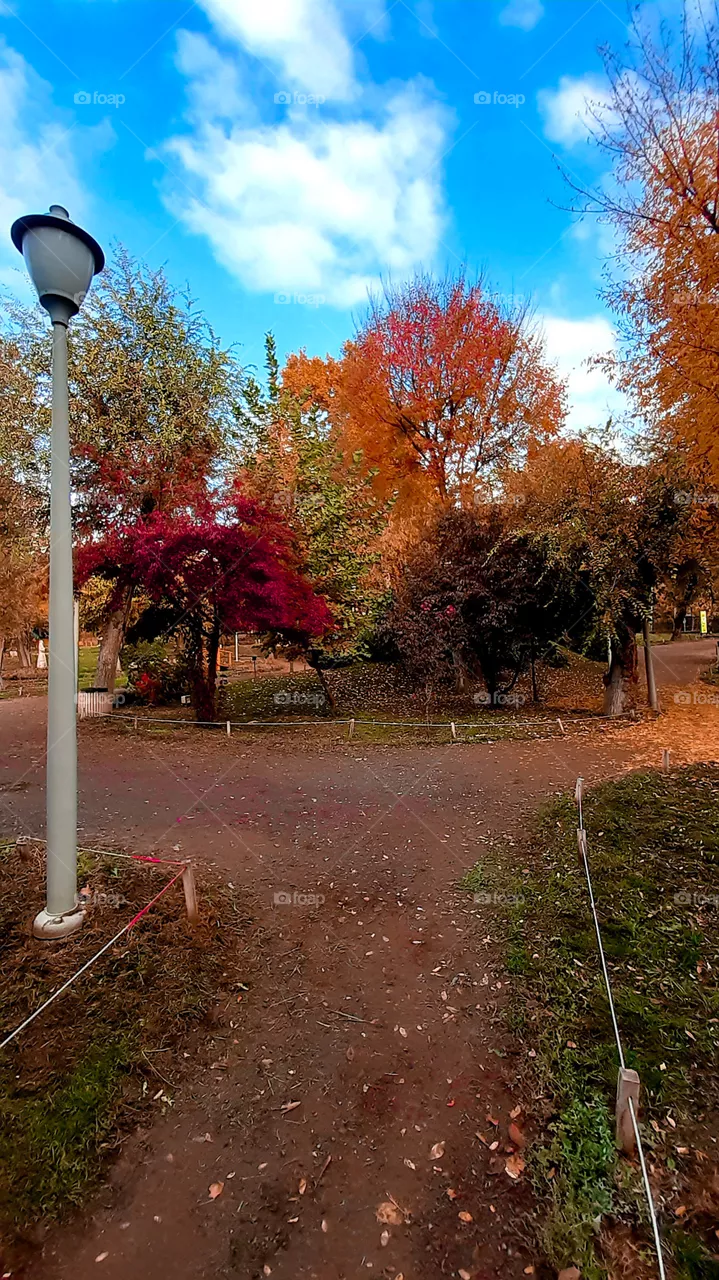 Autumn