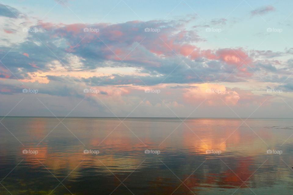 The Far Horizon, Florida