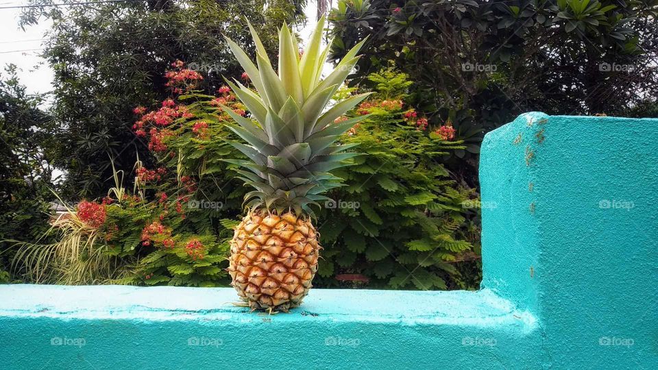 pineapple