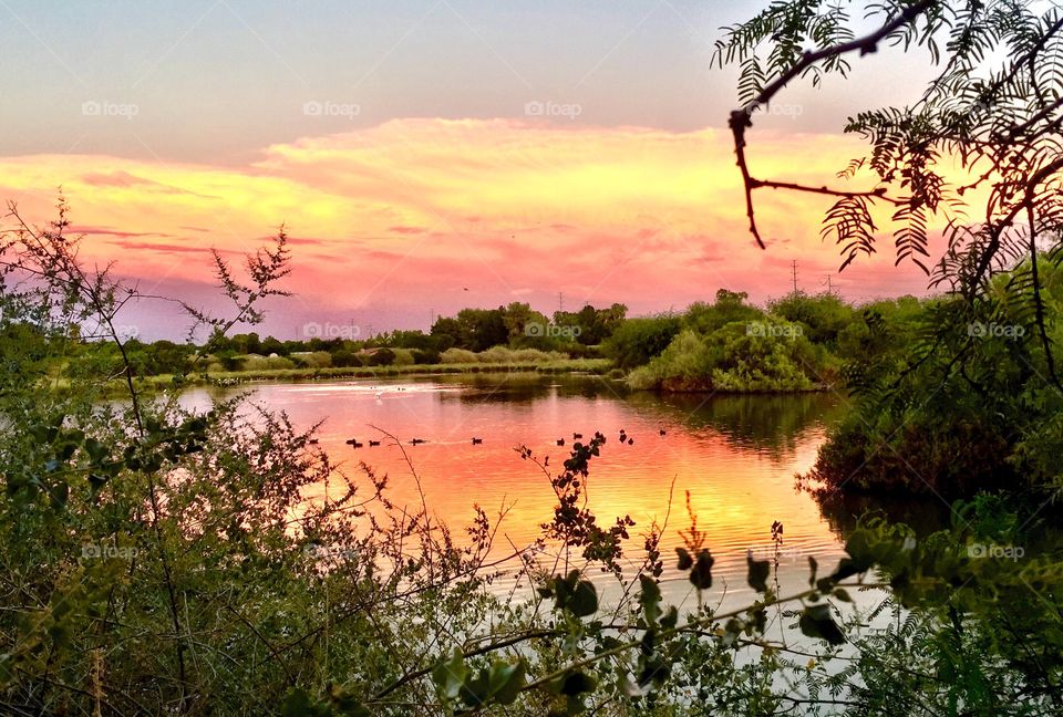 Sunset. Sunset with water and trees.