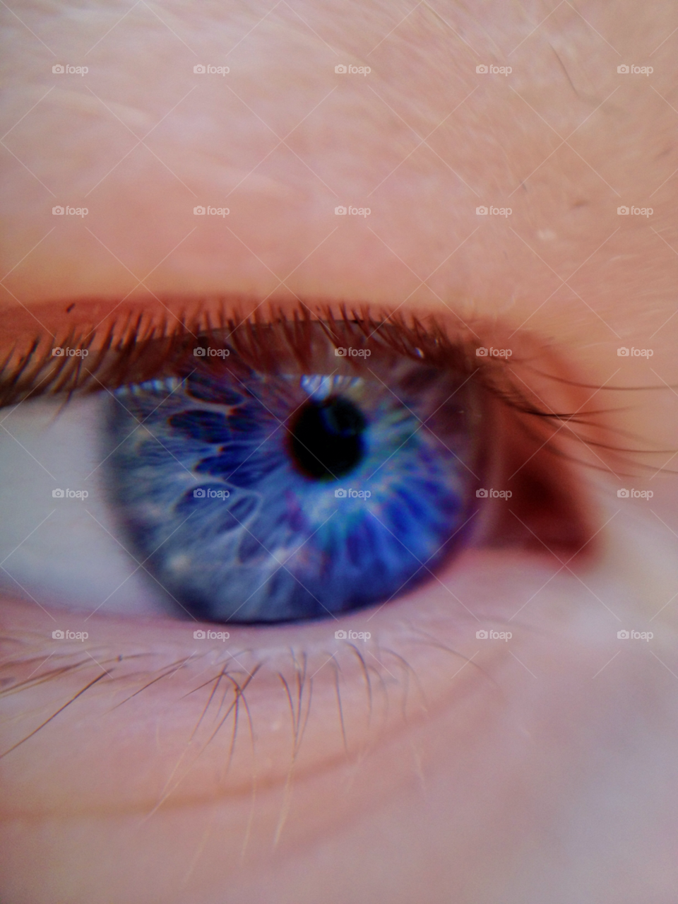 Extreme close-up of a human eye