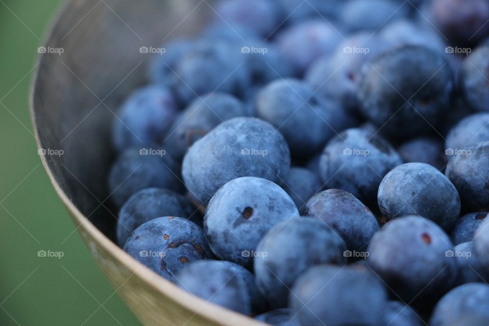 Close-up of a blue berries