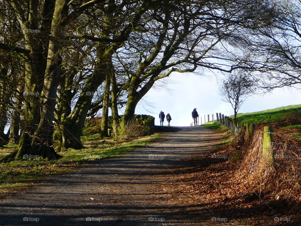 over the beacon hill