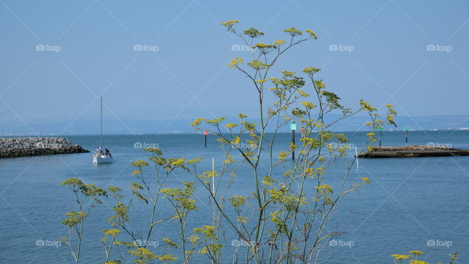 Seascape, people in a boat in distance