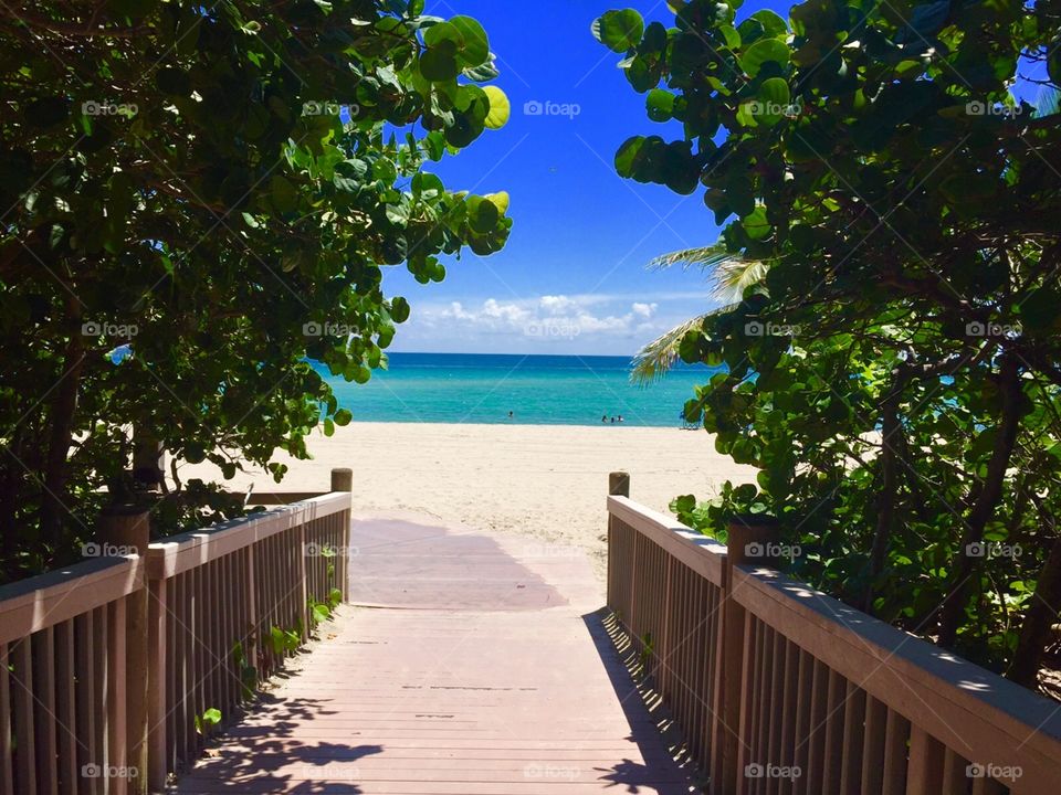 Board walk to the beach in Miami