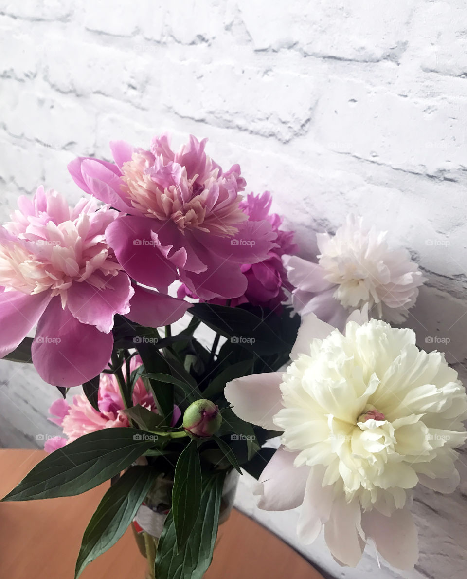 Bouquet of peonies