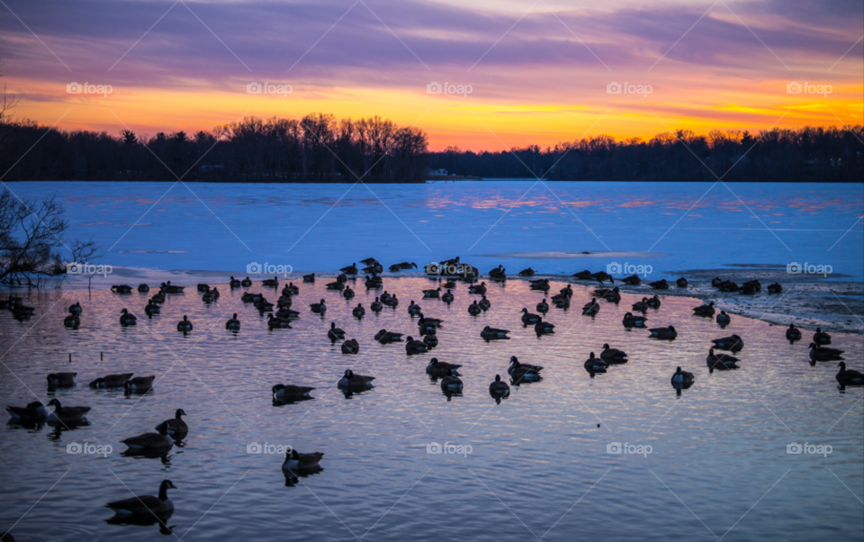 snow winter congers sunset by delvec