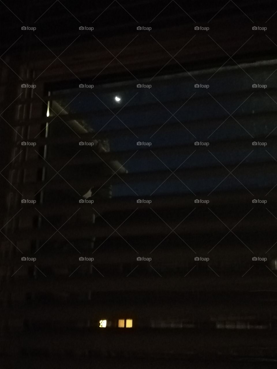Moon outside my window